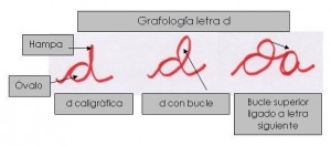 Grafología letra d caligráfica con bucle 